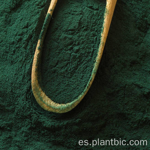 Polvo de espirulina pura de grado alimenticio orgánico